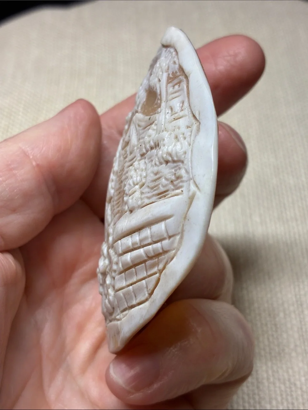 N/A delicate hand